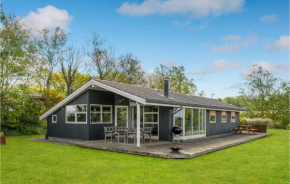 Gorgeous Home In Allingåbro With Wifi in Allingåbro